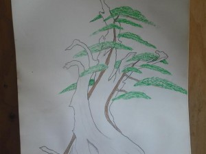 What I wanted to achieve. Can't believe I drew and positioned the trees with such straight lines.Live and learn