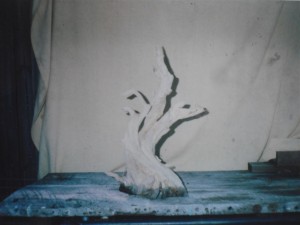 The wood after over 8 hours cutting and carving. Reproduction from a print so not good quality sorry. The base has been soaked in Waterseal and the whole tree treated with Lime Sulphur.