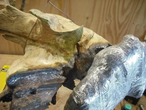 The base of the tree was soaked and coated with Earles wood hardener to try and arrest the decay to the base of the wood
