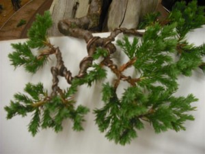 Different structures for different branches and positions to give some variation in the tree