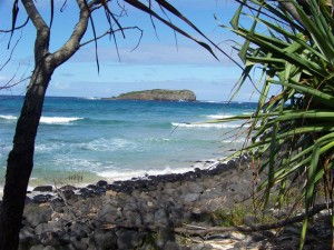 View of the island from the base of the headland