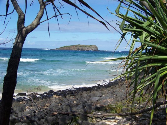 View of the island from the base of the headland