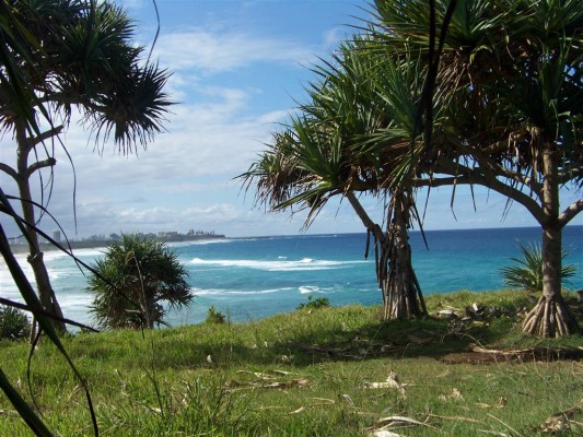 View from the top of the headland looking back toward civilisation