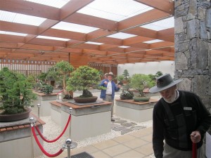 Some shots from inside the collection. Grant the current curator in front, and Peter I believe acting like a tree in the middle :-)