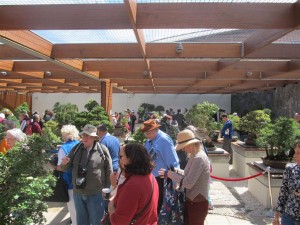 Visitors enjoying the display. This was before the official opening when the crowd tripled