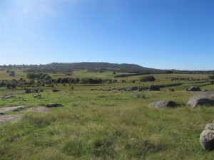 The rolling planes of the high country of the Northern Tablelands