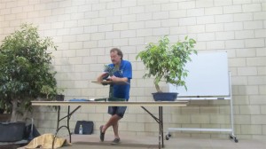 Monday night was all about Figs. Members trees were used on the night and the size varied substantially. There was a good range of Fig varieties and we spoke briefly about the differences.