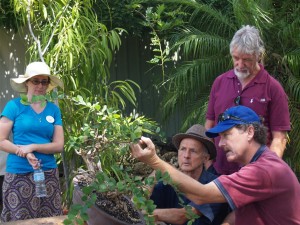 Getting the right planting angle for a tree is critical for the direction.