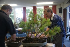 The group was separated in half and the pices swapped around to have the heavier trunks more centralised with the smaller trunks on the outside of the direction