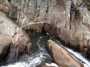 Young Callistemons cling to the rocks here. Some of these have copped a pounding with heavy water flows, but they will get time to recover