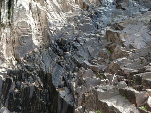 This is where the water flowed last time we were here and is now just a trickle