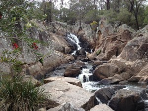 The view up the falls shows what happens after the zig zag. Notice the early flower on the Callistemon or 'Bottle Brush'
