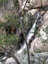 The main Crows Nest Falls flowing well. I would love to be here in heavy rain to see the quantity that can flow down here.