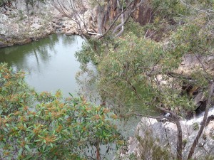 Some evidence to the size of some of those flows is the size of the water hole at the bottom of the falls.This used to be the swimming hole but access is closed due to rock falls from recent heavy flows
