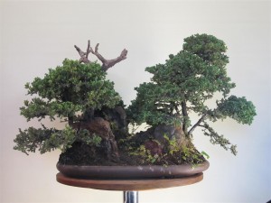 I decided to play with some deadwood I had to see if it worked to use it as the main tree to restore direction