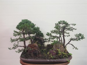You can see the structures of the trees now
