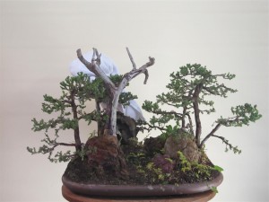 With a bit of work this wood might work, but I will leave it for now