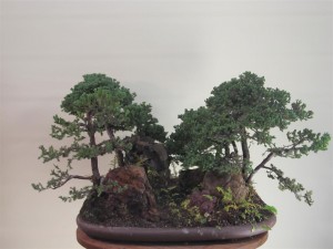 So one branch at a time