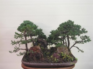 And one tree at a time