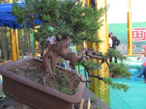 I decided to accentuate the movement of the tree by tilting it to the right and rotate the front view to the right as well.