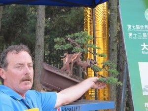 Discussing future options for the growth of the tree using off cuts to add to the foliage