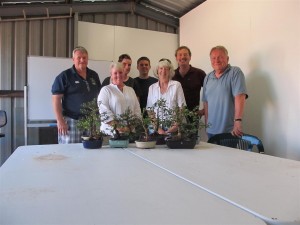 Little trees with a new beginning. 6 new Bonsai Artists.