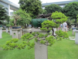 IMG_2874 (Large)