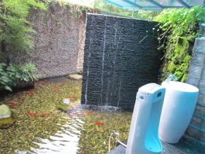One of the worlds unique toilets