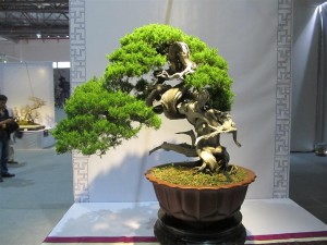 IMG_2963 (Large)