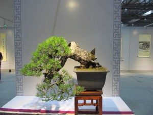 IMG_2968 (Large)