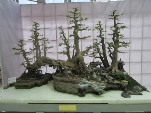 IMG_3012 (Large)
