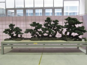 At least 20 feet long