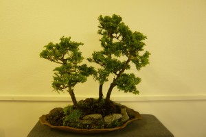 1 (Large)