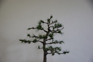 18 (Large)