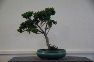 21 (Large)