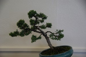22 (Large)