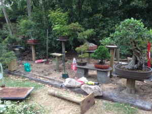 IMG_2362 (Large)
