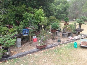 IMG_2364 (Large)