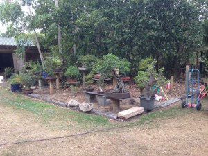 IMG_2401 (Large)