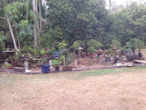IMG_2402 (Large)