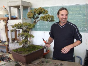 Some wanted the upper foliage, some the lower foliage, with others preferring the whole tree. I was happy to cut.