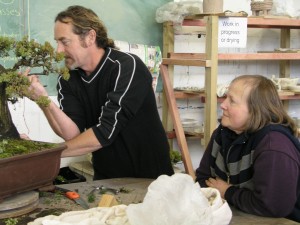 With Melody looking on, the decision was made to cut the tree to the lower foliage to make the trunk more powerful.