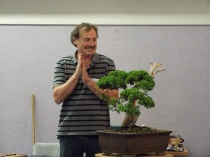 5 years past and the tree had been left alone as if waiting for my return. I was eager to work this tree again.