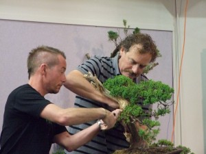 Then the bending began. Extra hands are needed during this process to secure the guy wires while positioning the branch as it had to come back and down, then be pulled forward at the end.