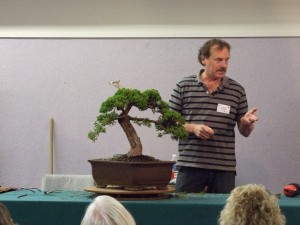 A few different options were discussed again as the tree had plenty more foliage with some new options presented.