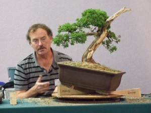 Time to get on with creating the tree