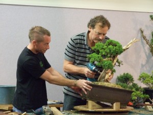 Young Sam had just won the NZBA Emerging Talent comp and was happy to assist with the tree. Screws were applied as anchor points for guy wires