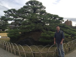 Ritsurin garden. A place I have seen in calendars and books since I was a teenager