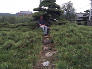 This Pines lowest branches where supported on a steel frame a foot of the ground