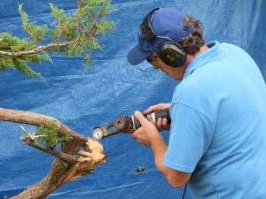 A quick touch up to the deadwood at the first bend and that will do for today.